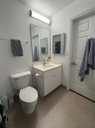 Bathroom (shower off screen) - South Campus Commons 4, 4502 unit B Apartments