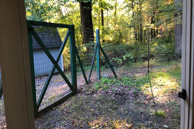 View of yard and woods - Furnished room w/private entrance-Cherry Hill Rd-Princeton House