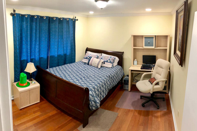 Bedroom - SEEKING MALE STUDENT/PROFESSIONAL FOR ROOM IN HOME W/PVT. ENTRANCE 6 MINS TO USF