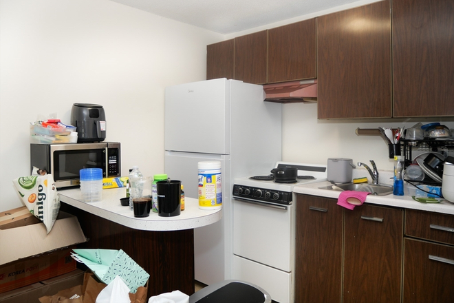 apartment - BU/Allston/studio Apartments