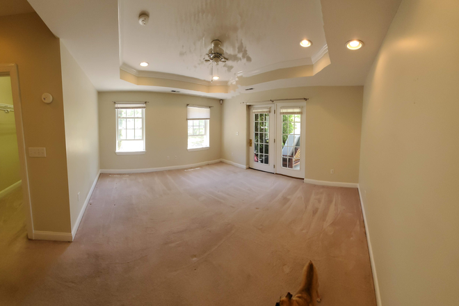 master suite in basement - Heights Lane