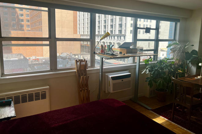 living room - Spacious, Sun-Filled Studio in Union Square / East Village – Ideal NYU Sublet