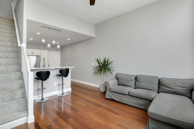 Living room - Penthouse Condo on Heath Street close to Longwood Medical Center/HMS