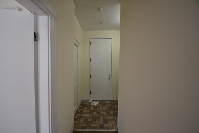 b - 2 bedrooms - H&HW included - $3500 - Hemenway - Living room - Cats - Elevator - Laundry Apartments