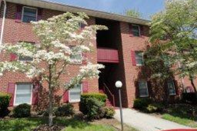 Photo - 2 Bed, 1 Bath Apartment On Houston Street