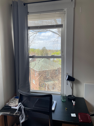 Bedroom views - 213 Chestnut Hill Ave Apartments