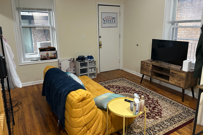 Living room - Subleasing one bedroom in 2-bd apartment (Close to UIC)