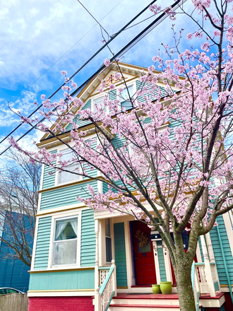 Front of the house - Spacious, bright 2 bedroom apartment