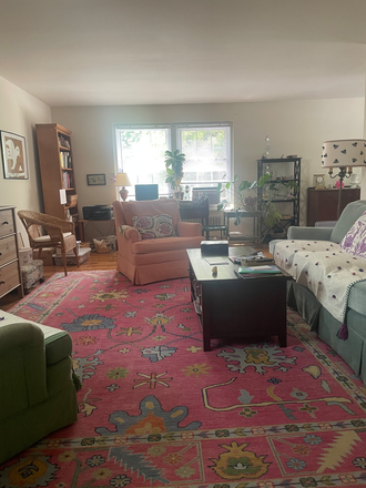 Living Room - Share Large Duplex Apartment