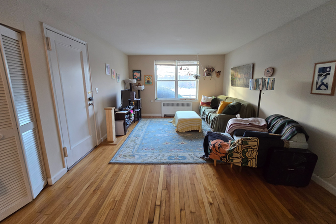Living Room - *Avail March 1* 2 Bedroom Apartment across from beautiful park