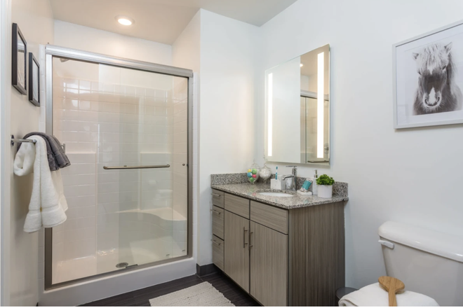 Bathroom - 2B/2B Apt. at The Altitude Available at Discount for $600.00 per month