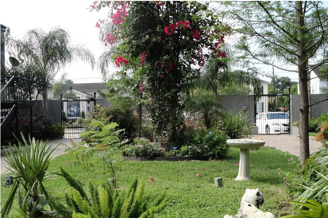 Courtyard - Clean and Quaint - One-bedroom (Montrose/Upper Kirby/Museum district) Apartments