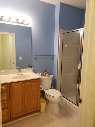 Hallway Bathroom - The Retreat. Furnished 3 BR/2 BA Short/Longterm lease/POOL/TENNIS. FREE CH bus Close to D Condo