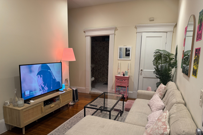 Living Room - Fenway apartment with female roommates! (BU & NEU 15-20 min walk, Star Market 2 min walk) (Sublet)