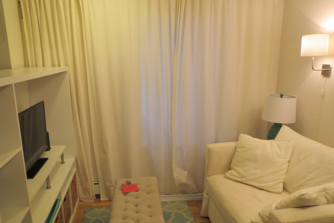 Living room - HALF BROKER FEE & SECURITY DEPOSIT!- Amazing and BRIGHT Studio for 9/1 Ht&Hw Incl Apartments