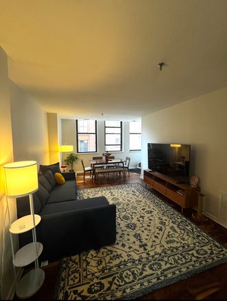 living room - 1 room in 3 bedroom apartment, 10 min walk away (1/2 mile) from Loop campus!