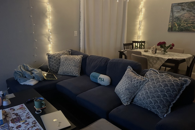Living room and kitchen table. Not pictured: large TV, spiral staircase. - Bedroom available in girls apartment at Brigham Circle