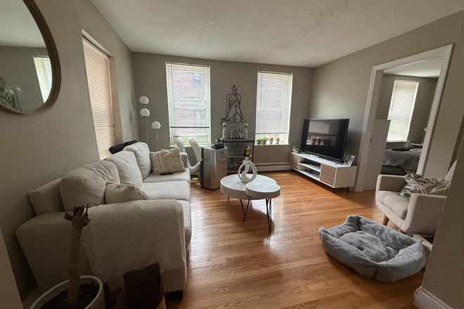 Living area - Beautiful 1-bedroom apartment super close to NEU campus, ALL UTILITIES INCLUDED