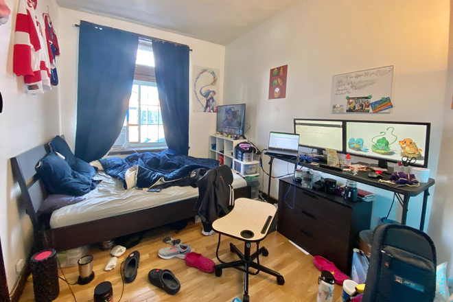 Bedroom - Large Brookline 5 bedroom. 2 levels. 2 full baths Apartments