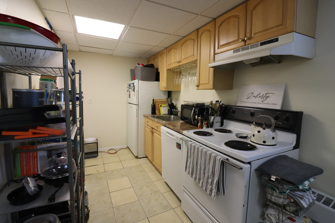 kitchen - Pet friendly garden level 2 bed in Coolidge Corner - 1/2 FEE! Apartments