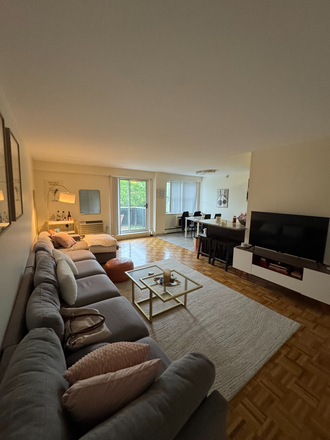 Living Room - Dexter Park Room Available in 3-bedroom Apartment, close to Boston University Campus
