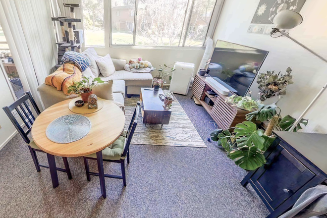 living room with natural light - August-September full one-bedroom Apartments