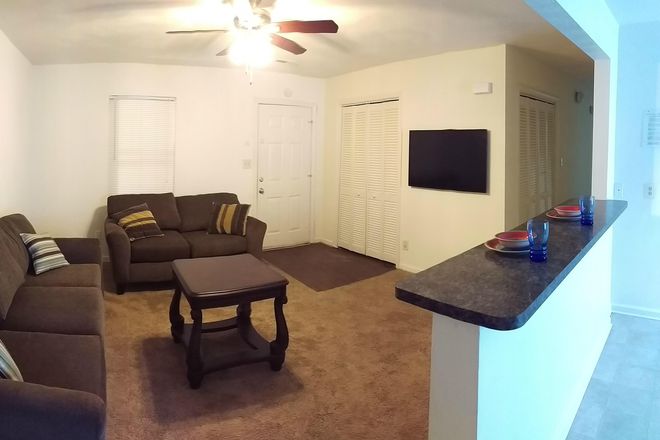Living Room Side View - ODUrent Offers 3-Bed Colley Bay Apts!