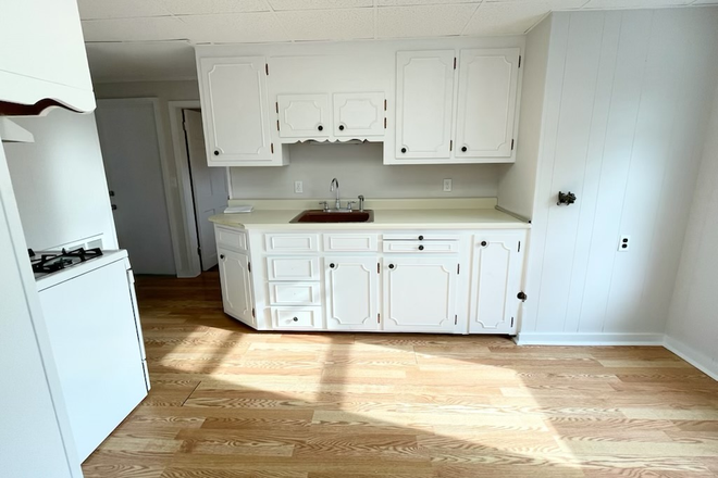 Kitchen - Spacious, Well-Lit 1 Bedroom Apartments
