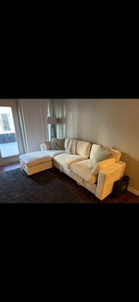 living room and kitchen will come furnished! - Augusta Place Apartments