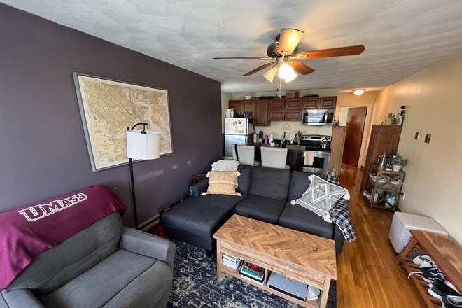 Living Room - **ONLY 1/2 BROKER FEE** Gorgeous 1 Bedroom & 1 Bathroom Apartment