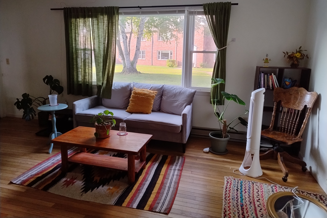 living room - Summer sublet in downtown Amherst Apartments