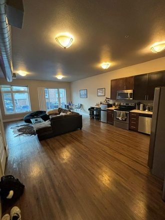 Living Room & Kitchen - ROOM FOR RENT IN MODERN APARTMENT BY CU CAMPUS