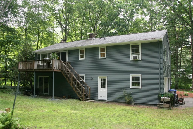 Back - Tree House 2 Miles from Campus