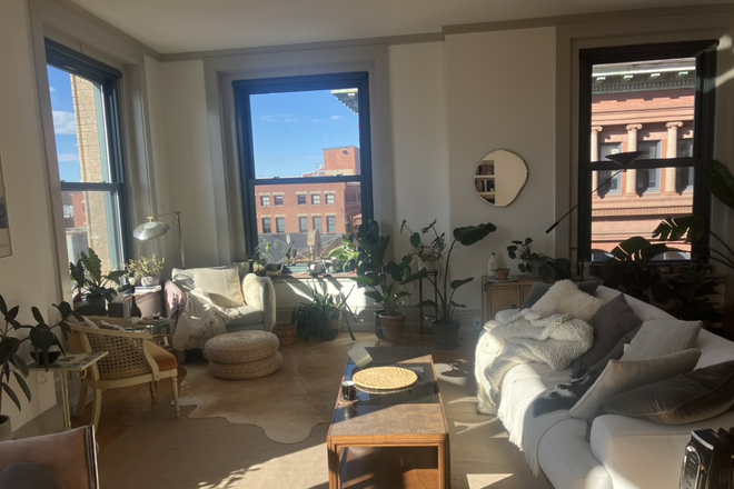 Living room - Large + Sunny Loft with Cat
