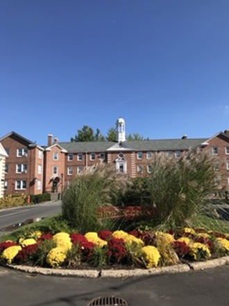 outside - Summer Sublet (End of June,July, August)! Holden Green Apt. 10 min walk from Harvard Yard