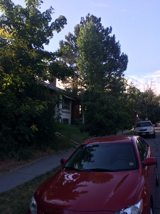Street Parking - 2-Bed Apartment $1,350 Small Well-Behaved Pets Welcome