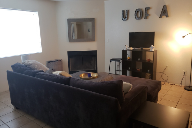 Fireplace in the living room - Large Bedroom with 2 Large Yards and tons of Parking House