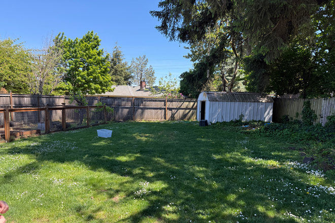 Backyard - Looking for someone to Sublet in the fall House