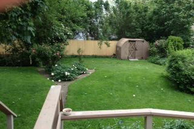 Backyard - LOCATION, LOCATION! 2 ROOMS available SUPER SPACIOUS  (Female Medical/Law/Grad Only) House