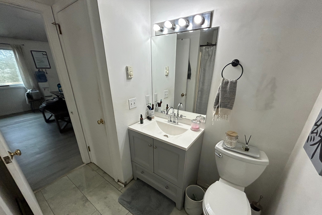 Bathroom - 1-Bedroom Apartment in Chaplin