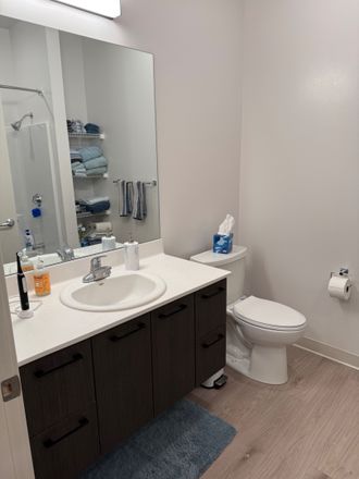 Bathroom - Fieldstone Artisan Graduate Studio Lease Takeover Available Immediately Apartments