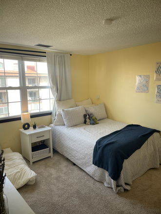 Bedroom - Perfect Spring & Summer Sublet in Penthouse Apartment with Private Rooftop and Spectacular views