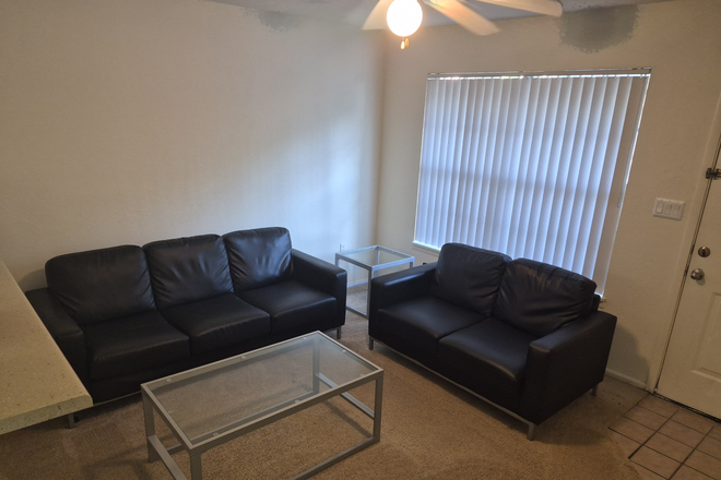 Living room and entrance - Oxford Manor Apartments Summer 2026 sublease - full unit, close to UF campus