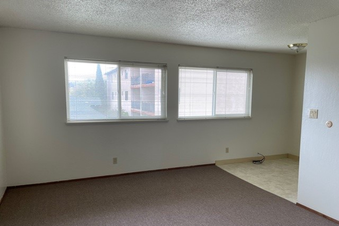 3 - Large two-bedroom in a modern building, with Carpet throughout the unit Apartments