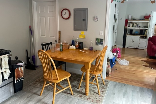 living - renovated, spacious, charming, a/c, MIt, Charles river, medical area Apartments