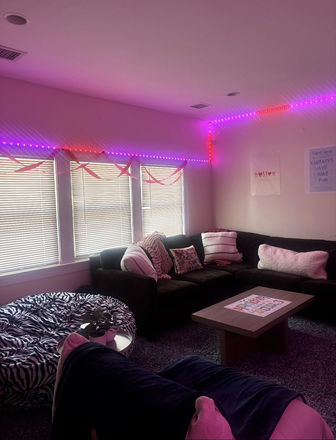 Living Room - Summer Sublet 6 Bedroom & 2.5 Bathroom House on Greycliff Road in Brighton, MA!