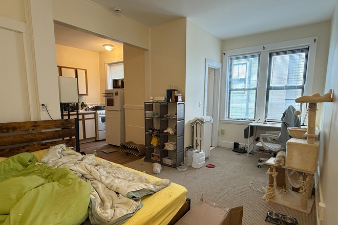 living/sleeping area - Sunny North Brookline studio for 9/1