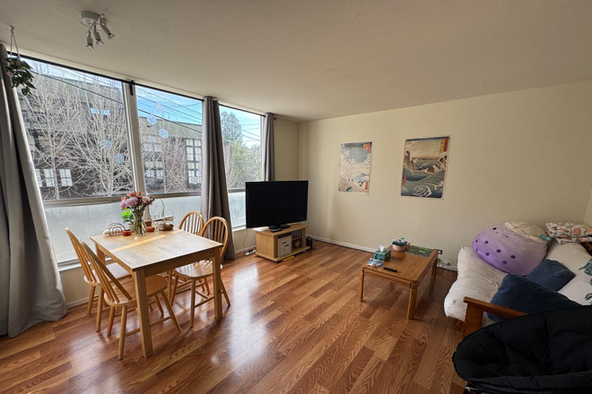 Living room - 2 Bedroom 1 Bathroom apartment, 1 block from campus