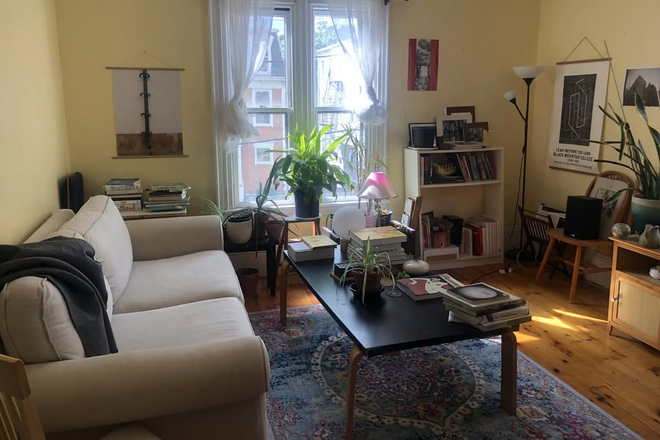 Living room - Looking for housemates to share a charming 3BR duplex near Harvard
