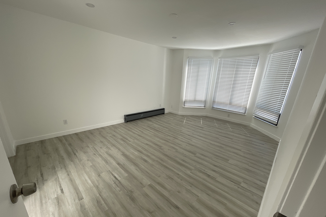 Master bedroom - Modern remodeled 3 bedroom, 2 bathroom apartment near USF